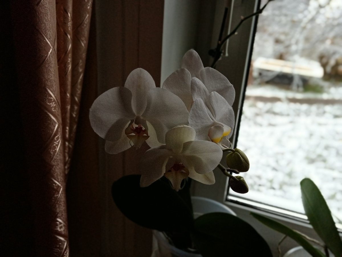 1 ноября, так было с утра. 