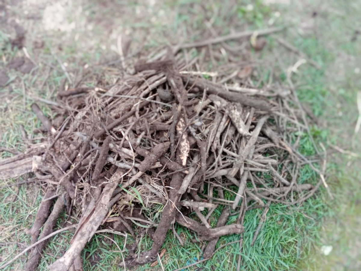 3 кучи таких и несколько поленьев с кирпичами. Надо ещё бы земельки завести. 