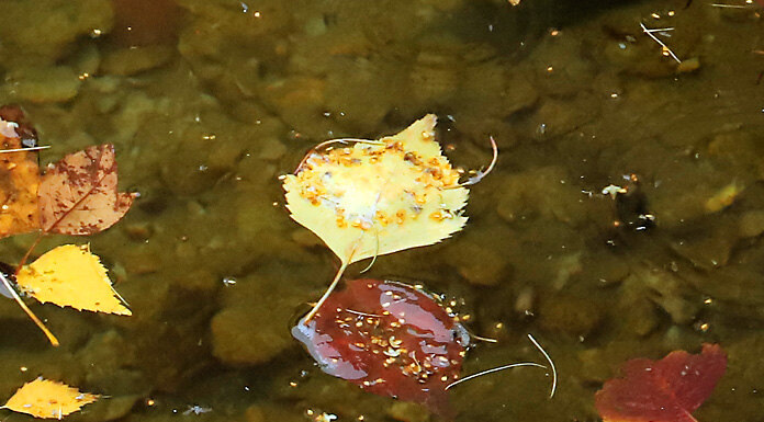    Фото из архива "Континента Сибирь"