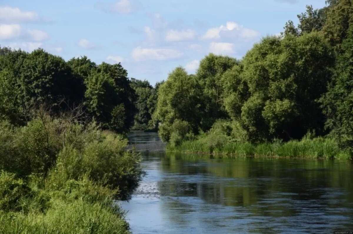    В Опочке расчистят реку Великую