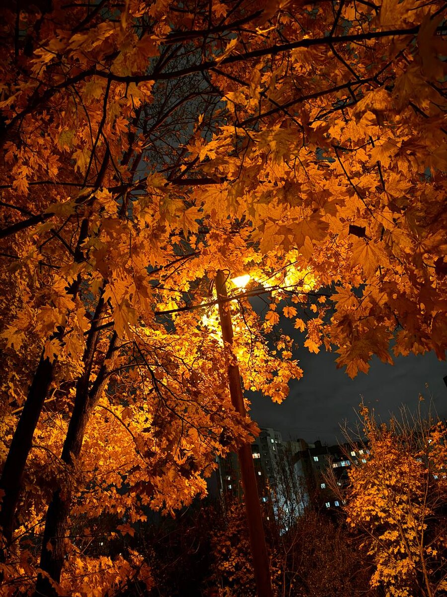 Фото из личного архива