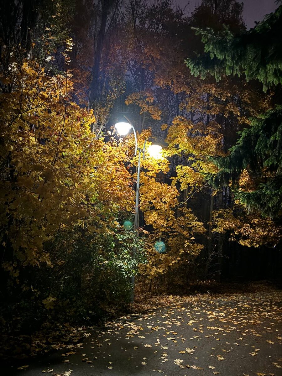 Фото из личного архива