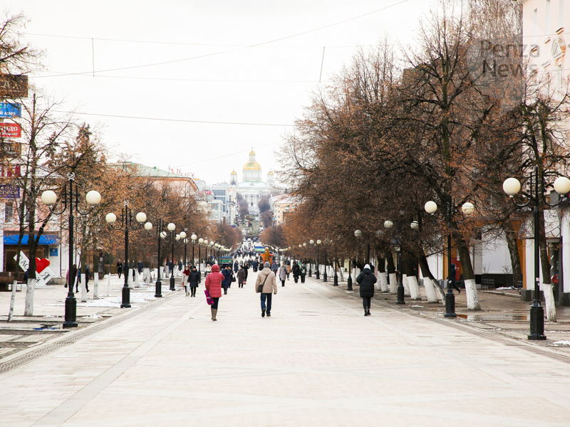    © Фото из архива ИА «PenzaNews»