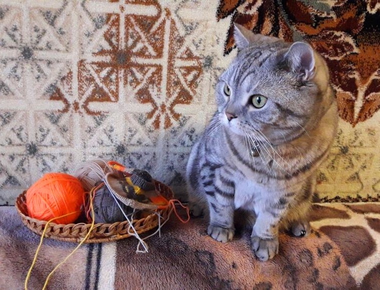 Фото автора канала.