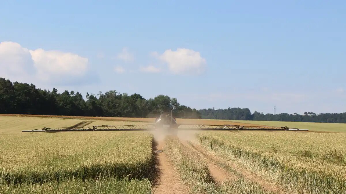 Фото:© Артем Борисов / Glavagronom.ru В Совфеде предложили ввести уголовную ответственность за подделку пестицидов