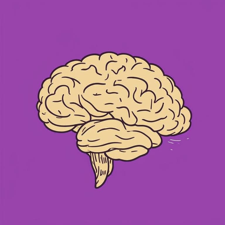 В этой статье вы узнаете, как работает мозг и как улучшить память!