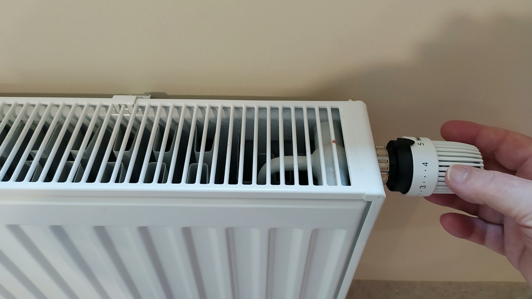    Виктор Лисицын/Globallookpress