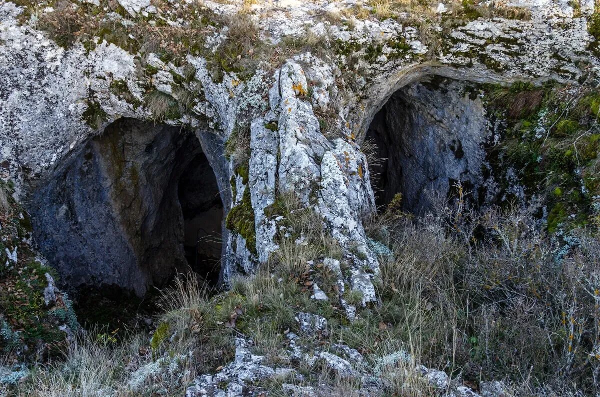 Из открытых источников