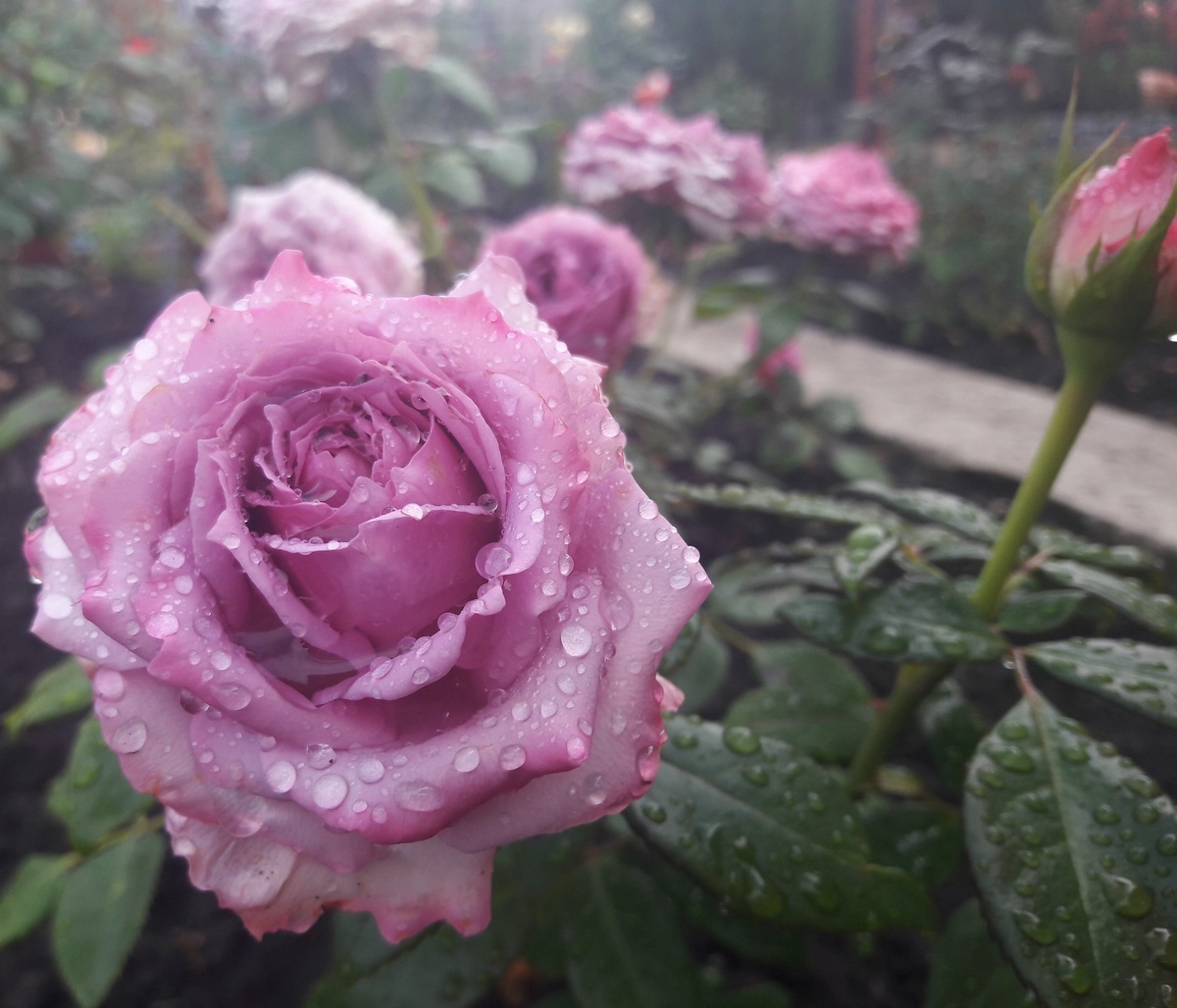 фото Марины