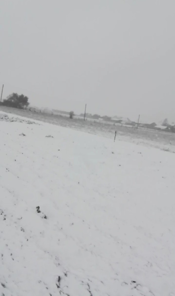 Моё фото. Первый снег.