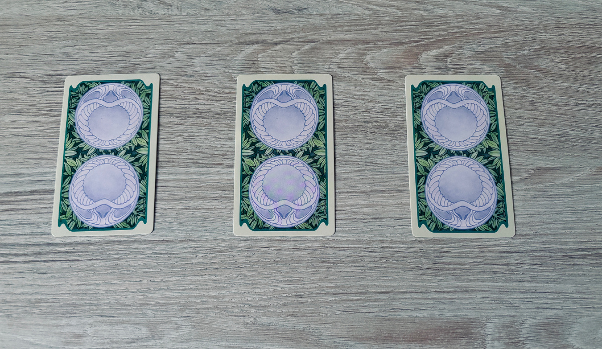 Выбор варианта 