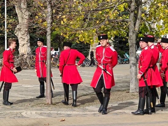    Фото: Юрий Серебренников/BFM Кубань