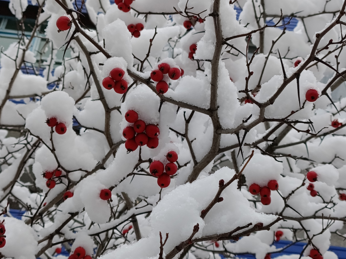 Невозможно было пройти мимо