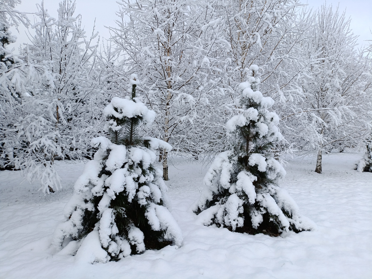 И эту фотку хочется показать