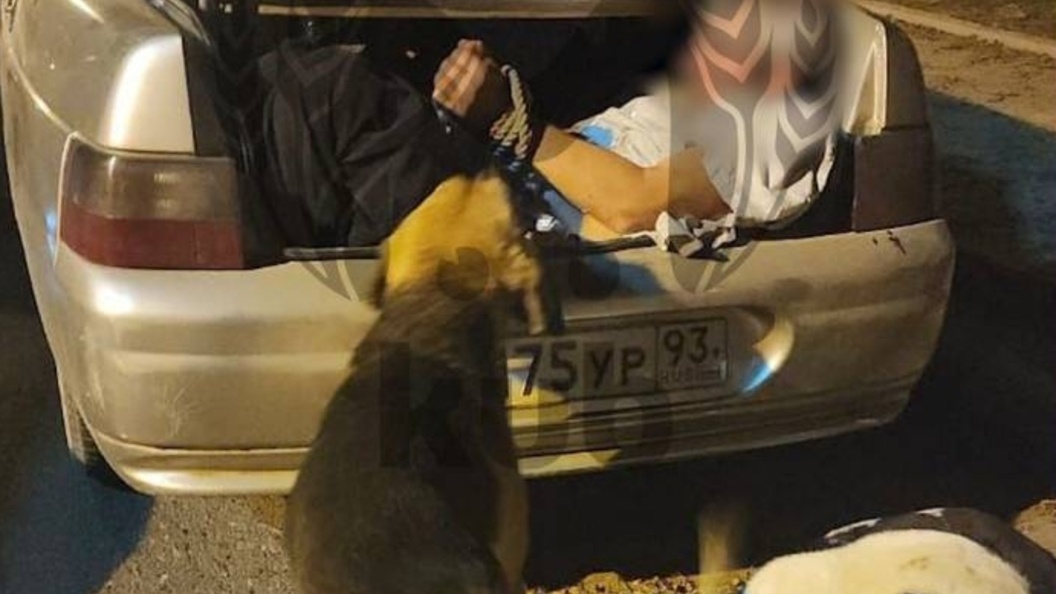    Фото: пресс-служба УМВД РФ по Краснодару