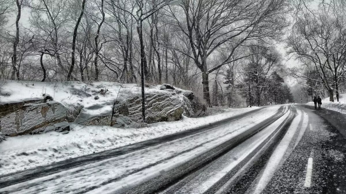     Источник: pxhere.com