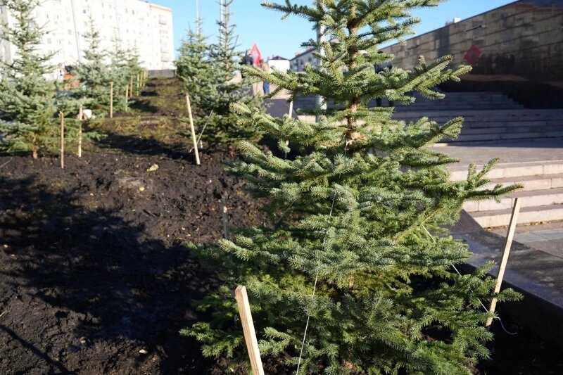    Фото: Администрация города Ульяновска