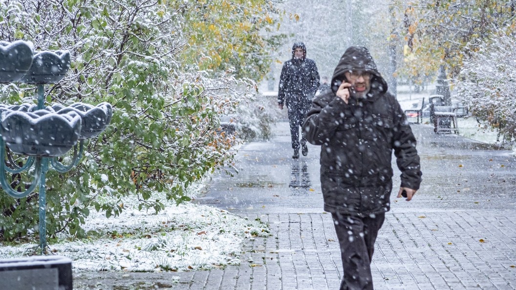    Фото: Konstantin Kokoshkin/Globallookpress