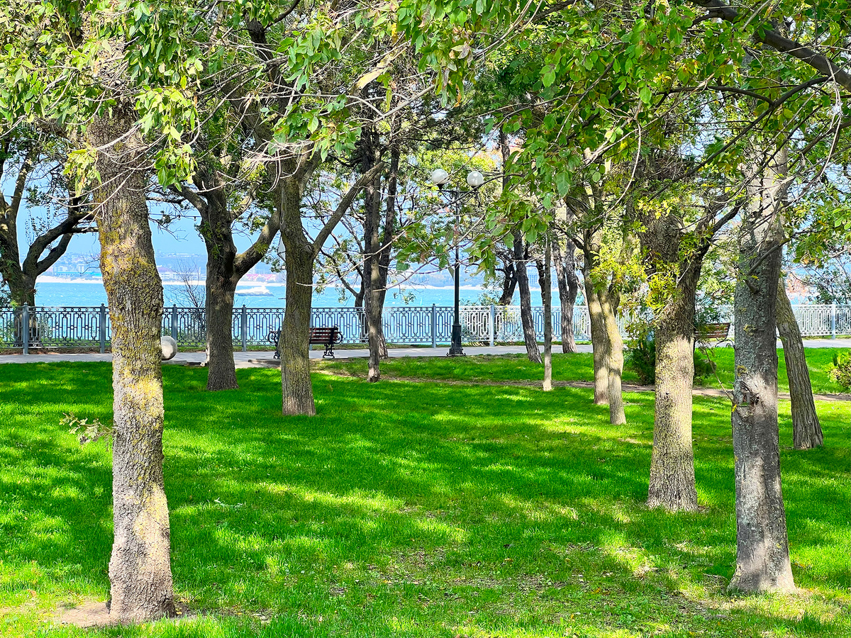 Пустая набережная, нет никого, только яркое солнышко, зелёная трава и море.