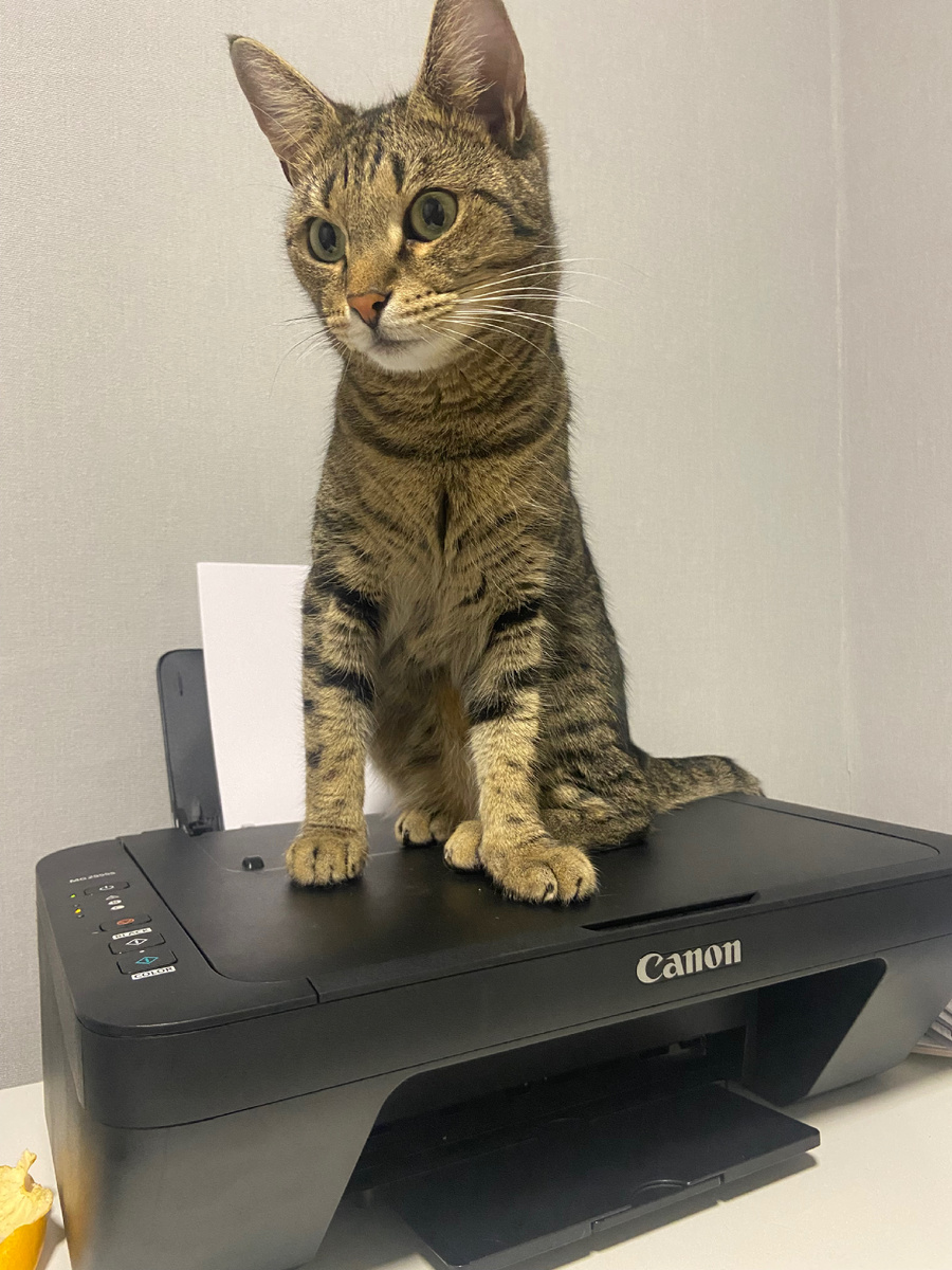 Жизнь прекРАСна