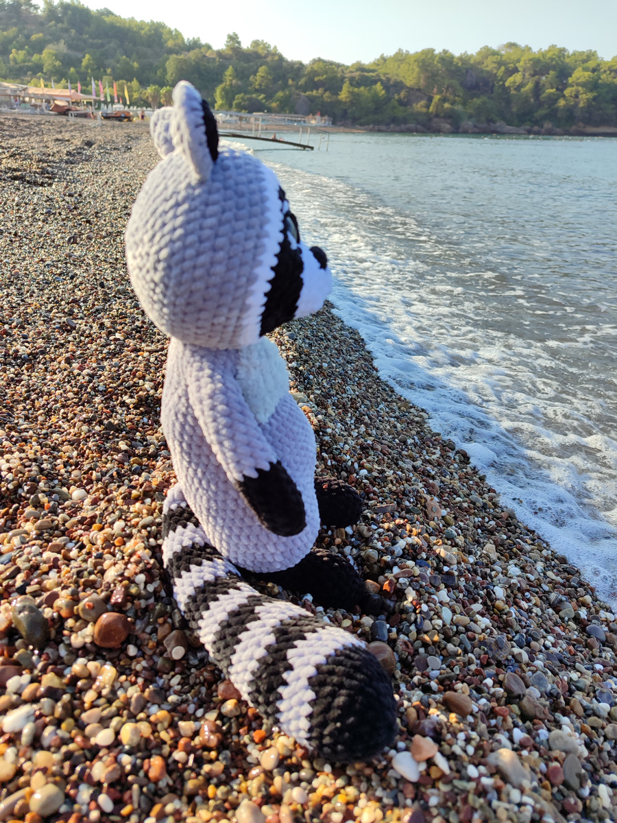 Наш пылесборник путешествует с нами