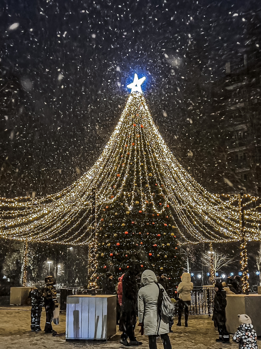 Городская елка расположена прямо напротив библиотеки 