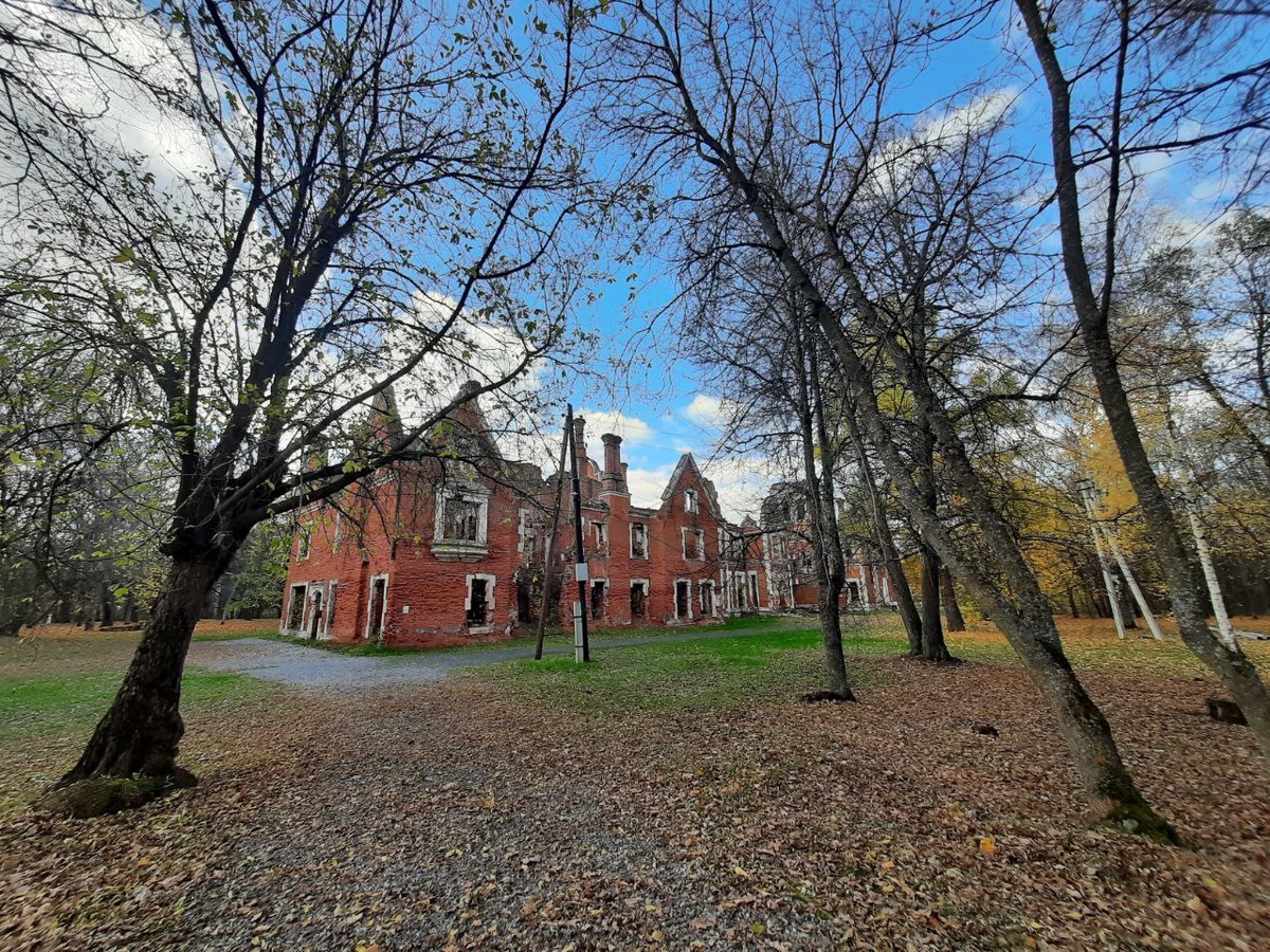 Усадебный комплекс Пашковых в Ветошкино. Источник: фото автора