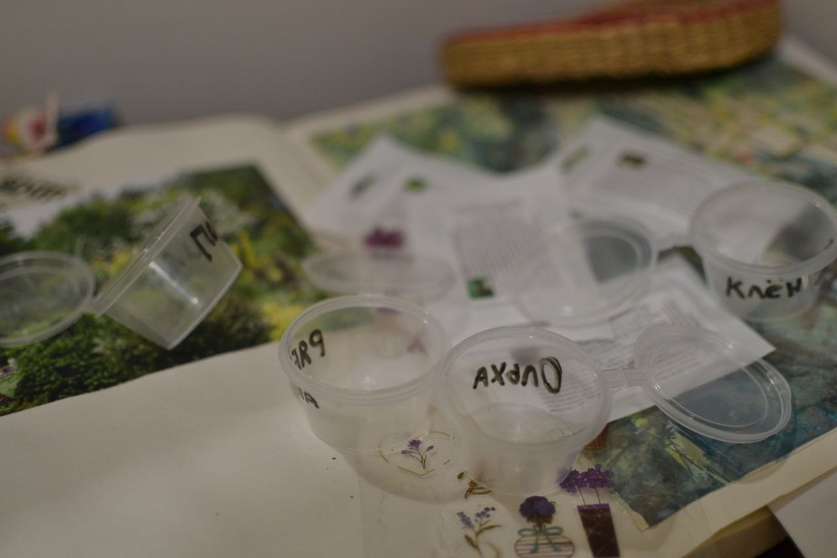 Начинаю посев