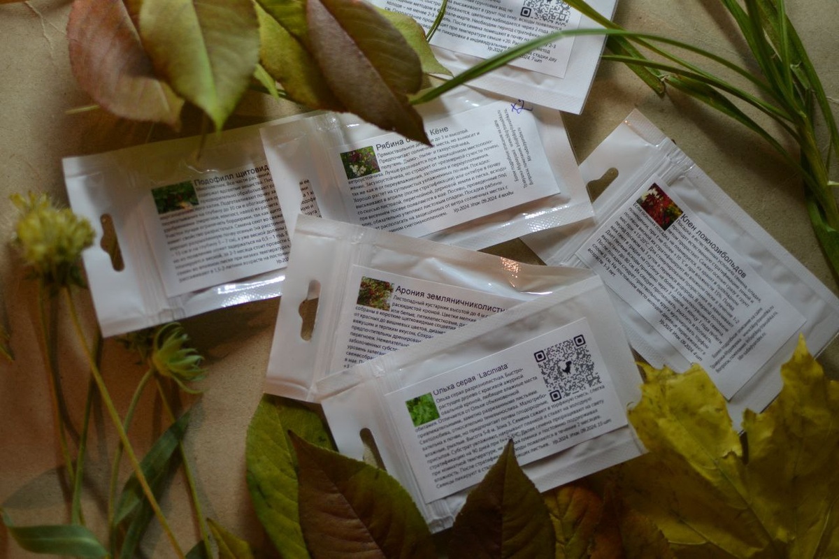 Первая партия семян. Именно их я и посеяла вчера вечером