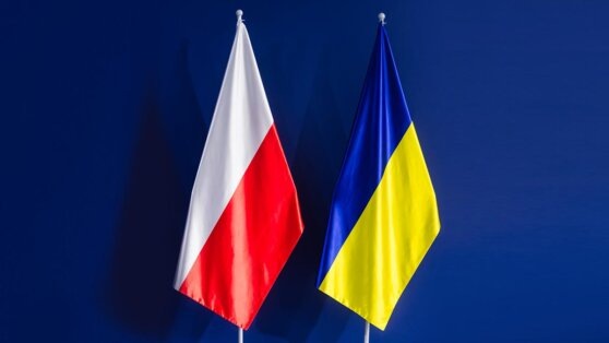    Варшава предложила Киеву покупать оружие в Польше в долг Андрей Галкин