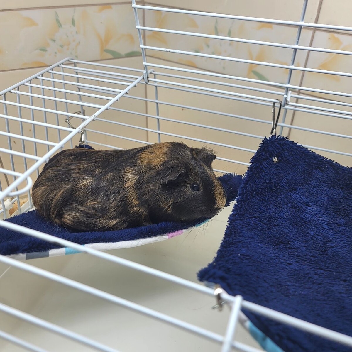 Её зовут Эля 