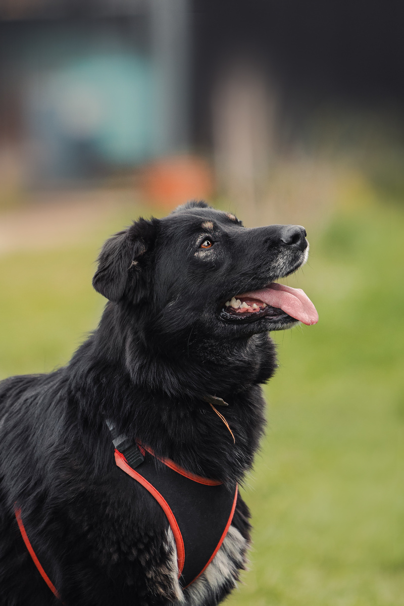 Героиня отчета сегодня - это Мася!) Узнали?