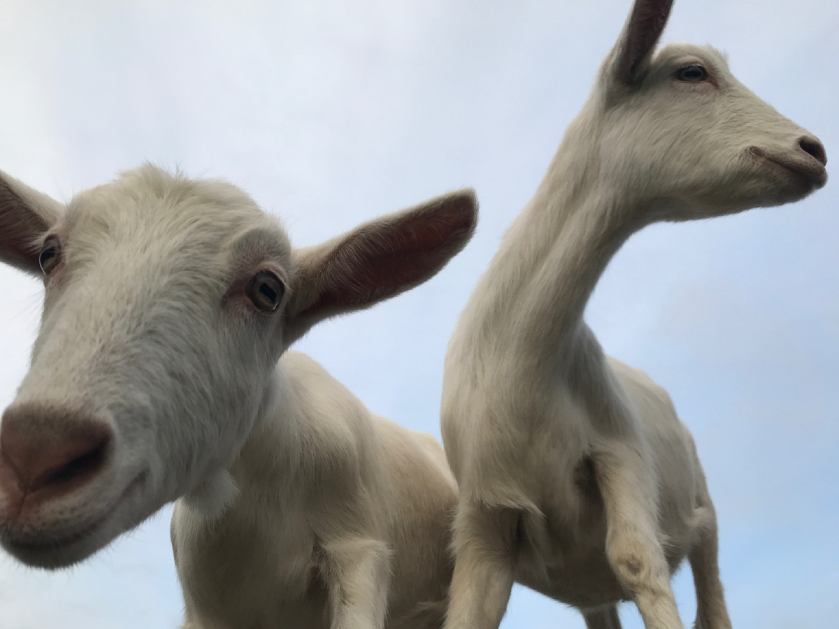 Фото автора канала