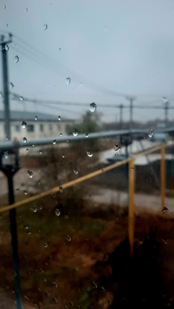 Погода наша 