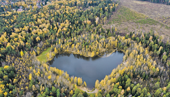 И это не где-то там,  в тайге, а в Подмосковье.Фото: Иван МАКЕЕВ/kpmedia.ru