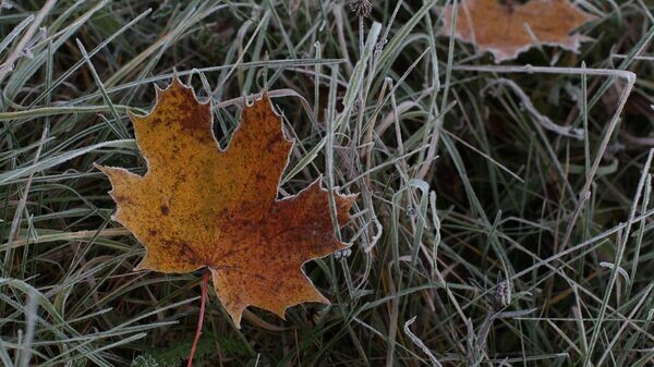    © РИА Новости . Алексей Куденко