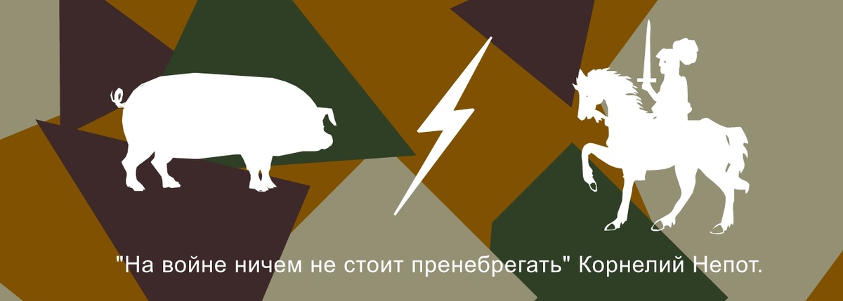 Римский историк.