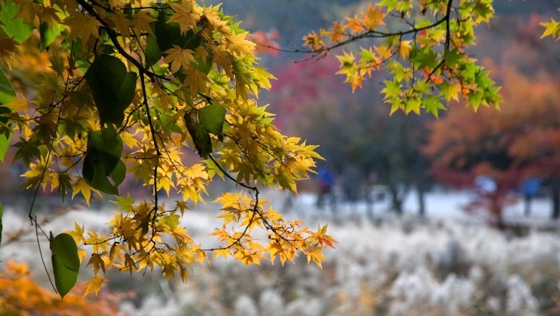 Фото: @EyeEm / freepik.com