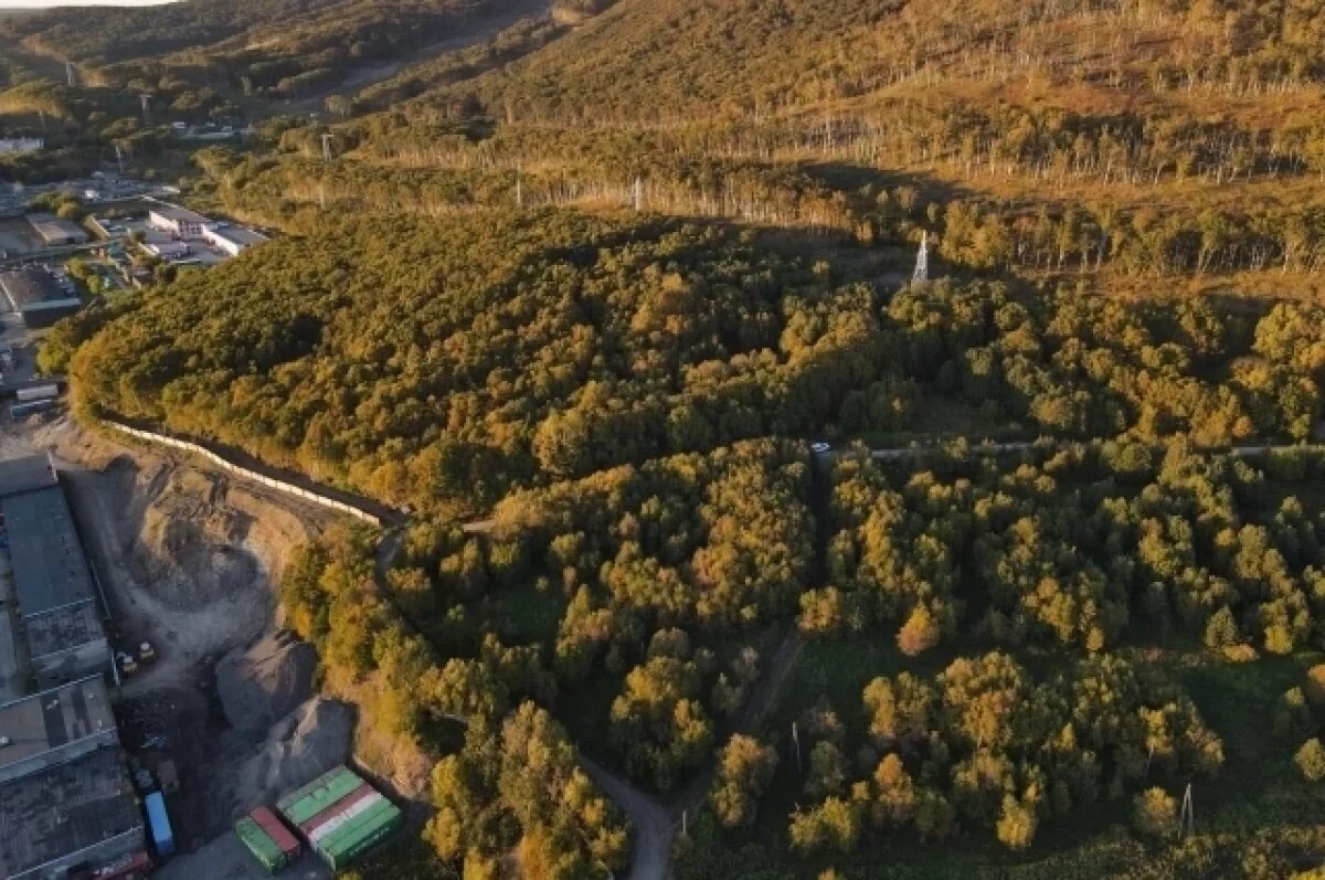    В столице Камчатки хотят построить коттеджный поселок