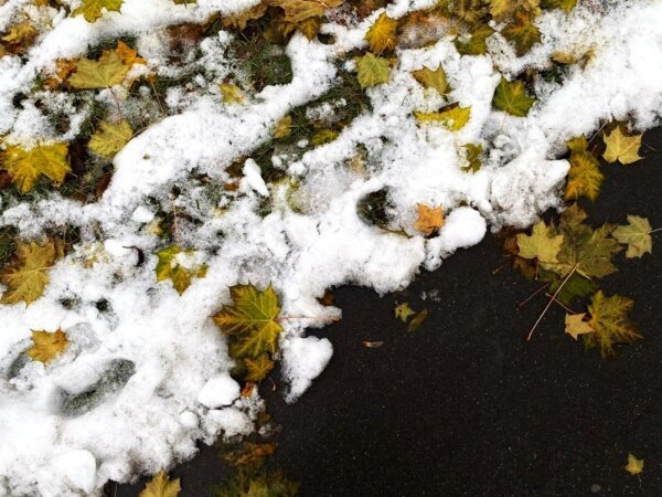    Фото: Светлана Лобова. UG.RU