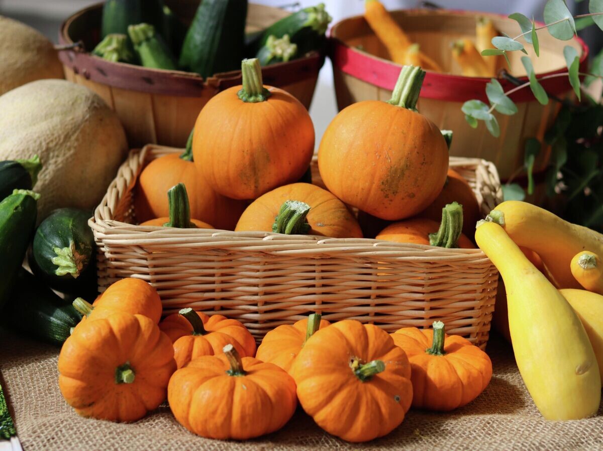    Овощи© Фото : Unsplash / Emma Shappley