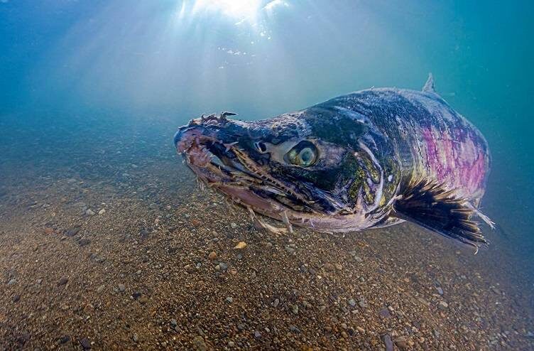    Источник фото: