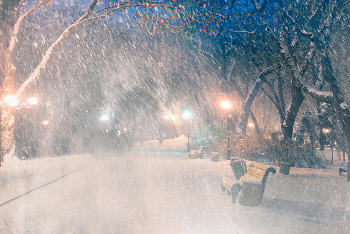    Зима 123RF/legion-media.ru