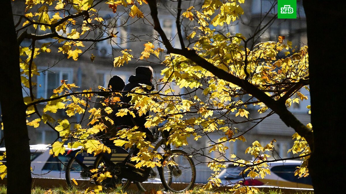    Фото: РИА Новости © 2024, Владимир Федоренко