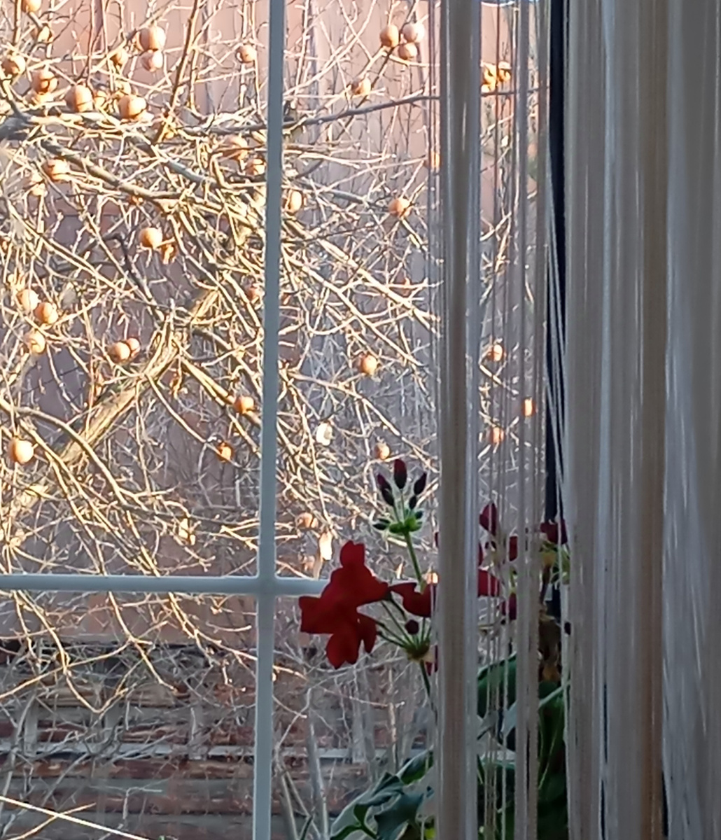 Солнышко светит