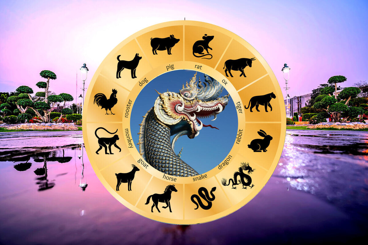    Тайский гороскоп на неделю 4 — 10 ноября для всех знаков восточного зодиака 123RF/legion-media.ru. Коллаж: 7Дней.ru