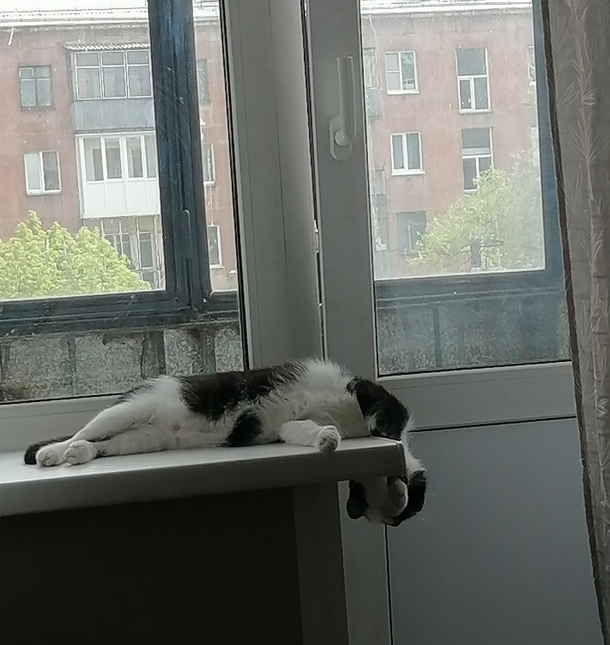 Не бойтесь, это ей просто жарко)) так легче))