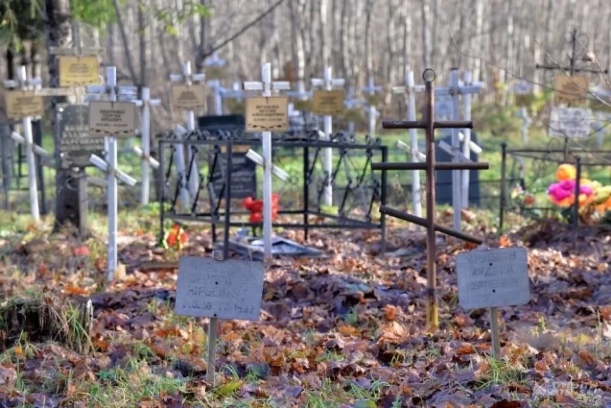    «Сердце разрывается».