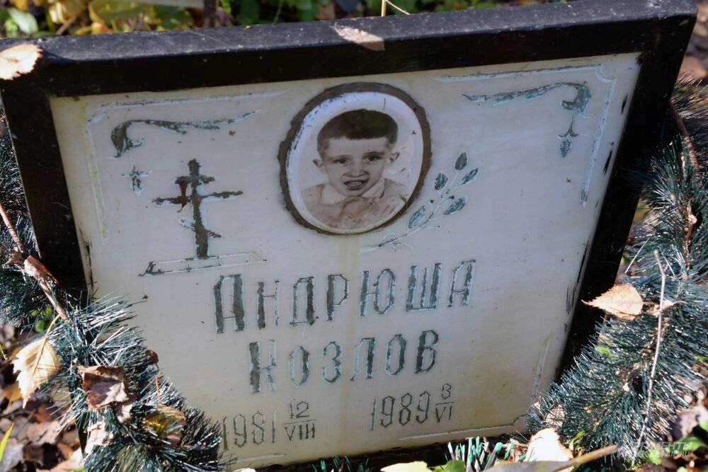    Фото:  АиФ/ Эдуард Кудрявицкий