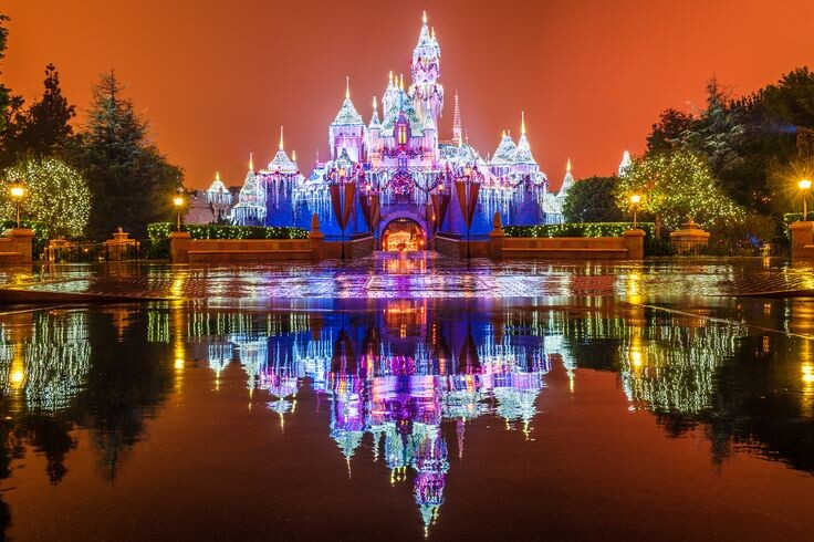 https://i.pinimg.com/736x/39/dd/98/39dd986f1acd709d6fb83fcbb9518f6f--disneyland-at-christmas-disneyland-.jpg